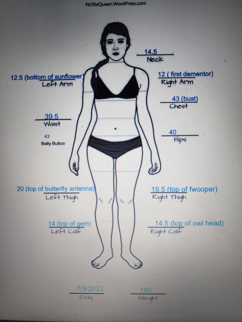 My starting measurements